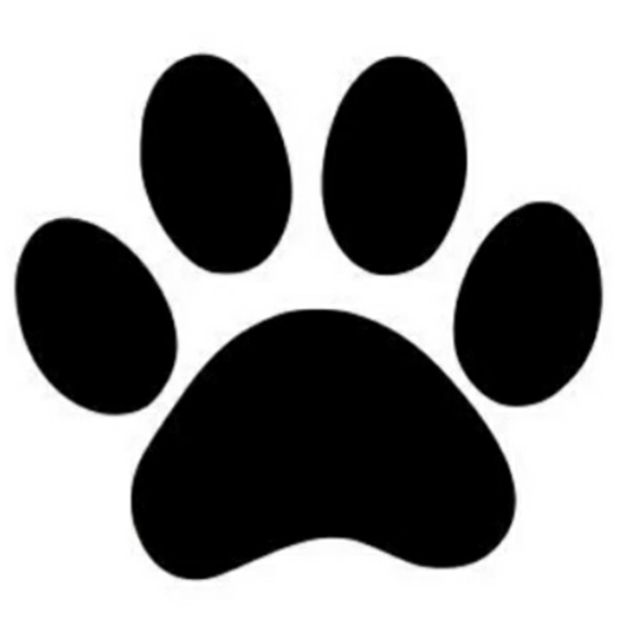 Other - Custom Pet Portrait